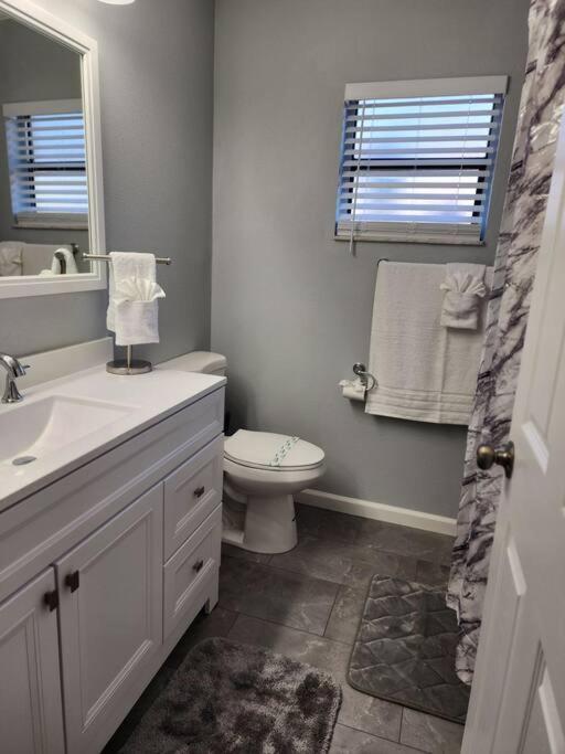 Home Away From Home With Heated Pool New Port Richey Buitenkant foto